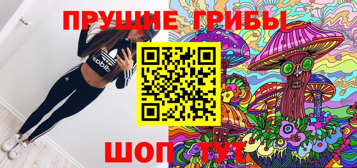Псилоцибиновые грибы Psilocybine cubensis Ирбит